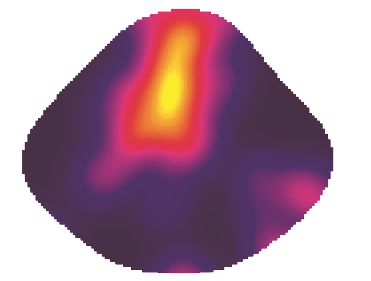 A heat map over a fossil shell illustrating the SPPAT approach